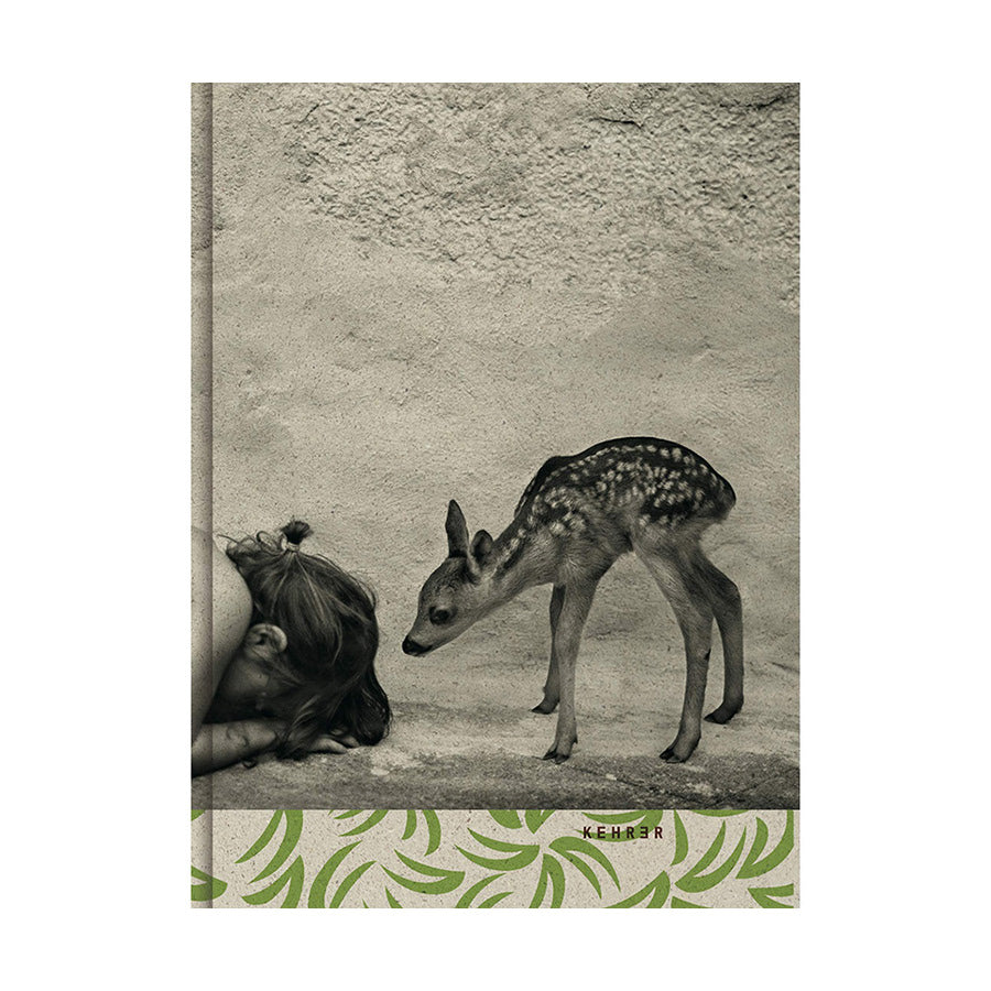 Summer of the Fawn