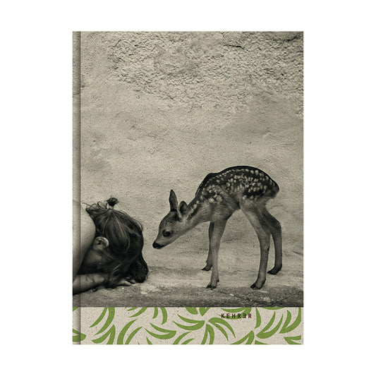 Summer of the Fawn